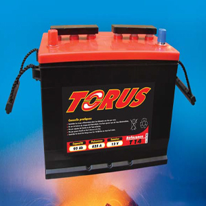 Batterie TORUS