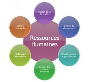 formation Administration et Gestion des Ressources humaines Algrie