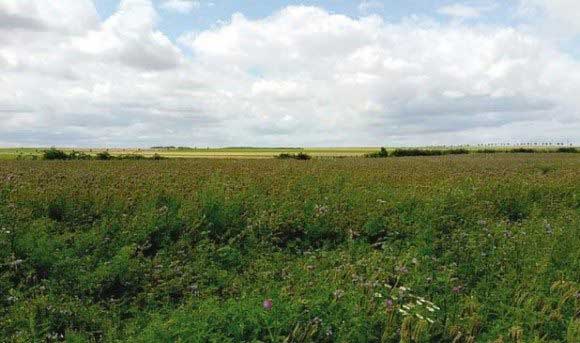 Foncier agricole : la rcupration des terres va se poursuivre