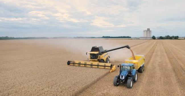 LAlgérie va acheter 360.000 tonnes de blé
